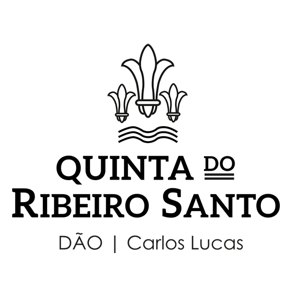 Ribeiro Santo