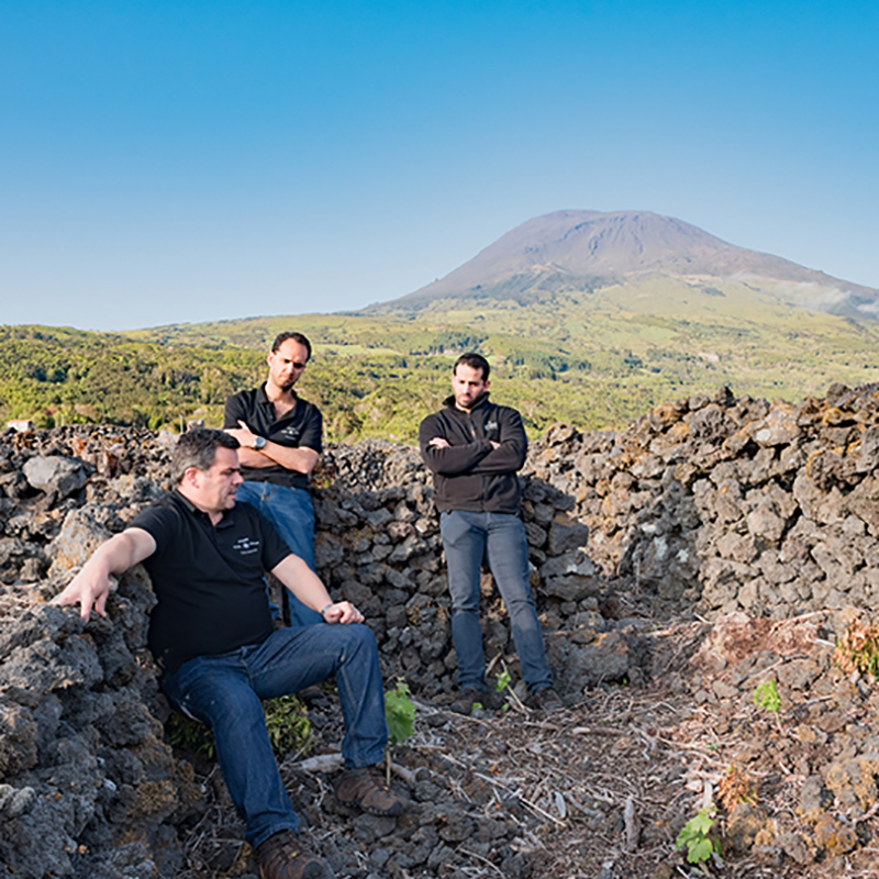 Azores Wine Company - Antonio Maçanita Winemaker